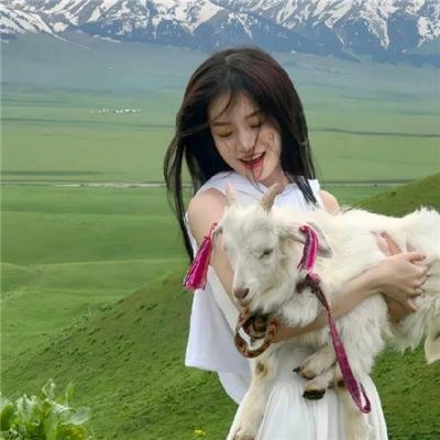 哺乳动物第一季